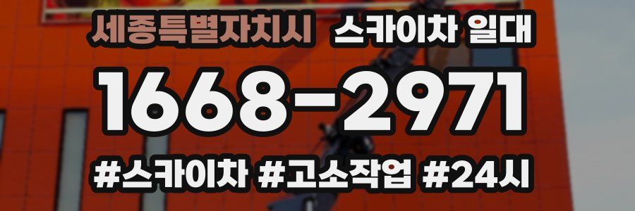 세종특별자치시 스카이차 일대