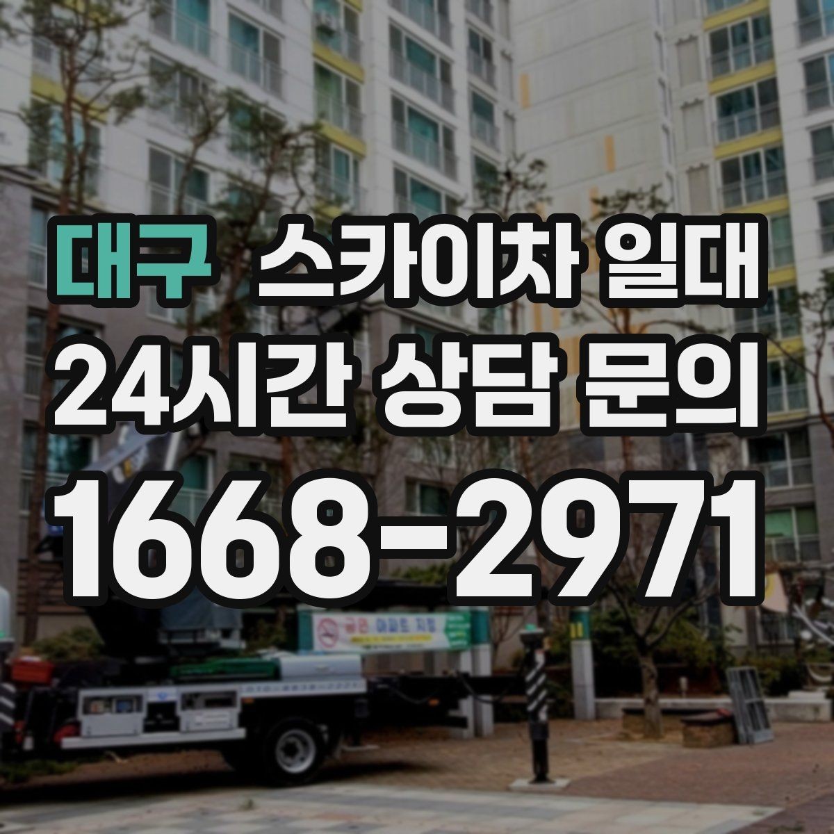 대구 스카이차 일대 실무자가 보는 핵심 포인트