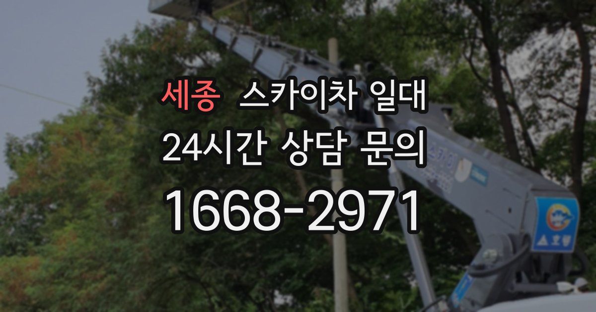 세종 스카이차 일대