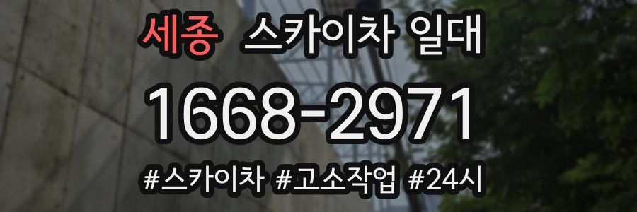 세종 스카이차 일대