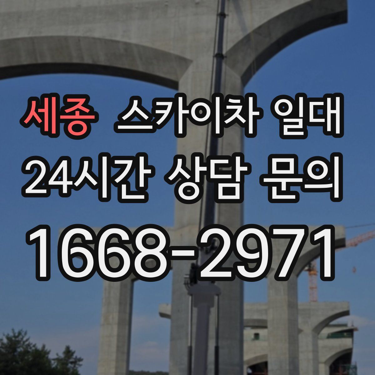 세종 스카이차 일대