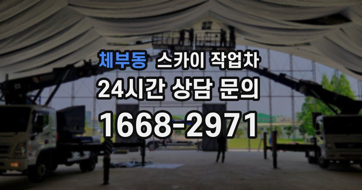 체부동 스카이 작업차