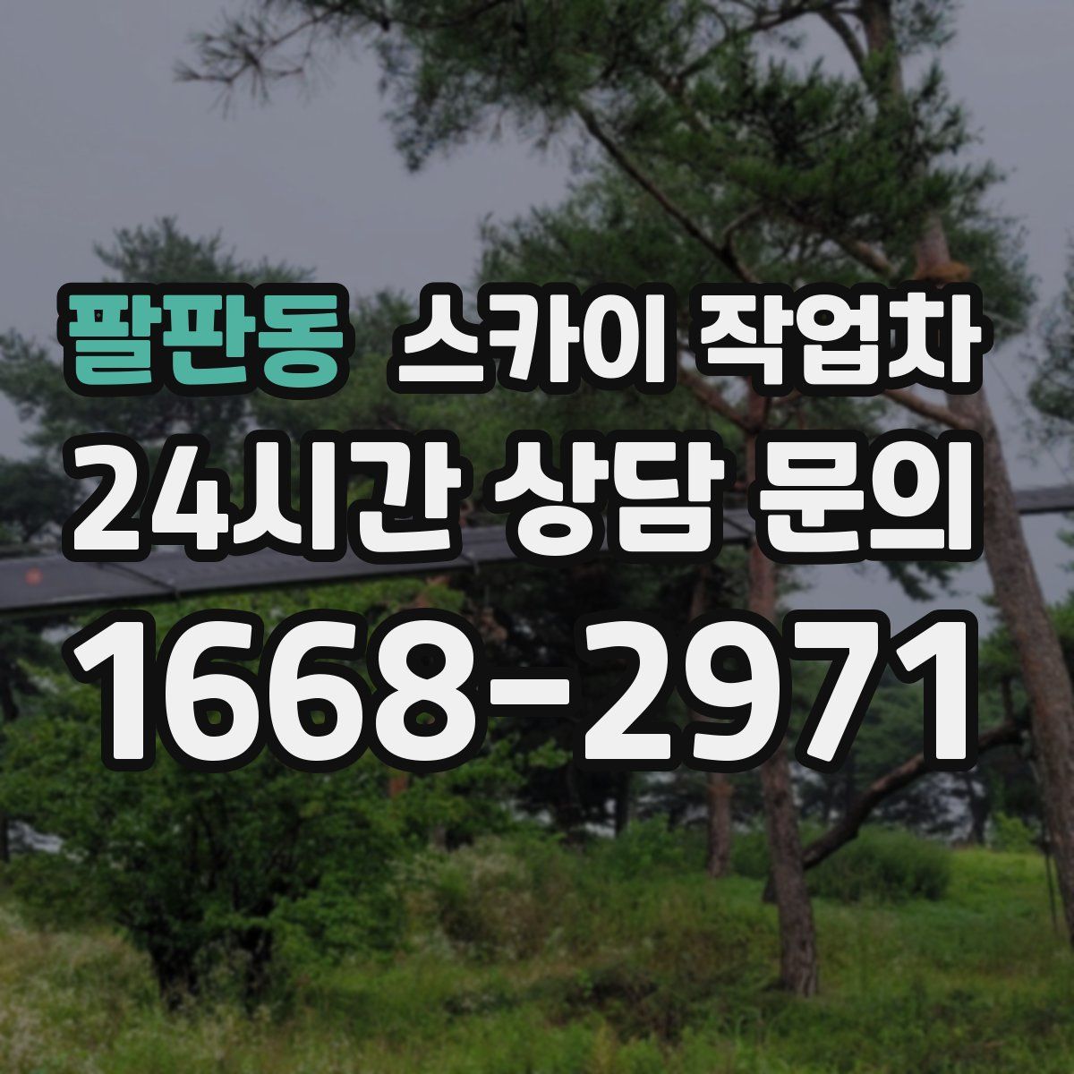 팔판동 스카이 작업차