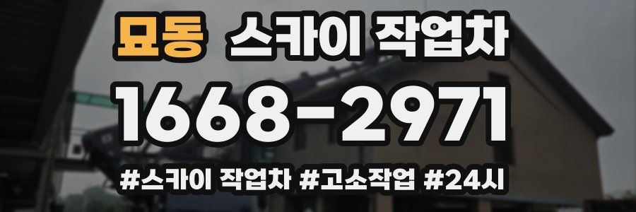묘동 스카이 작업차