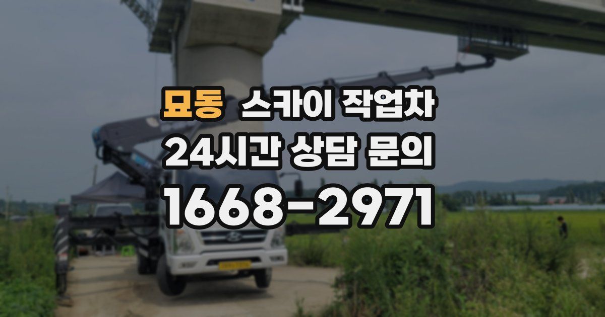 묘동 스카이 작업차