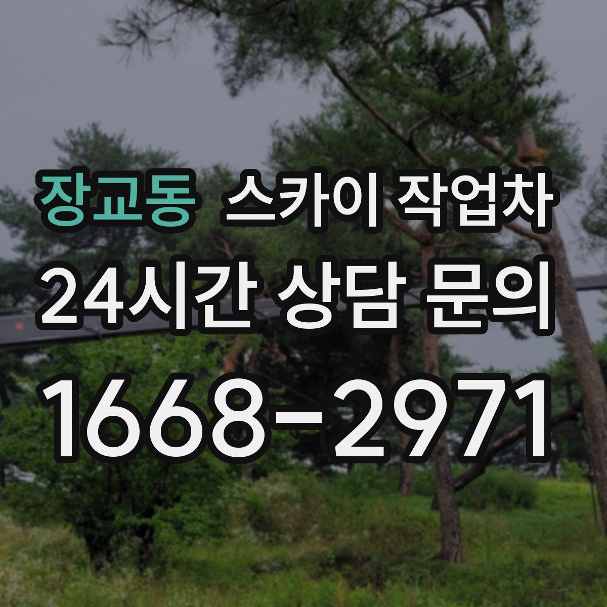 장교동 스카이 작업차