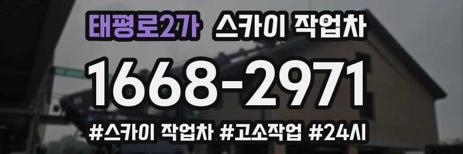 태평로2가 스카이 작업차