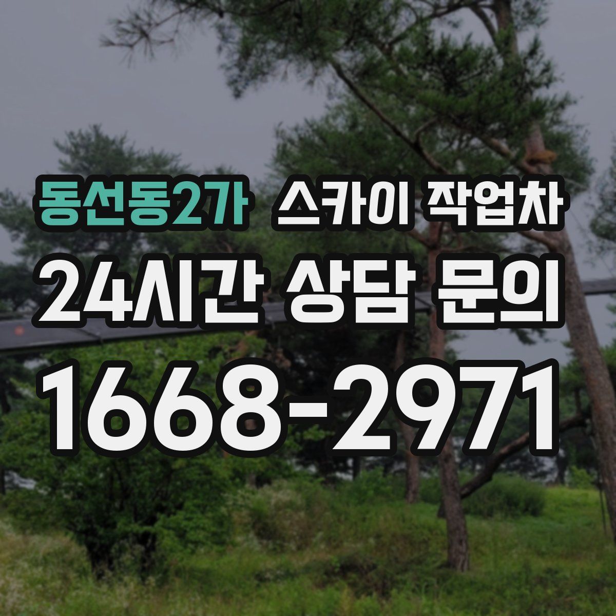 동선동2가 스카이 작업차