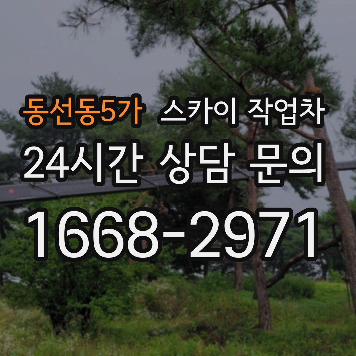 동선동5가 스카이 작업차 주변 장애물 때문에 작업 반경이 제한될 때
