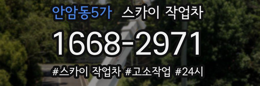 안암동5가 스카이 작업차