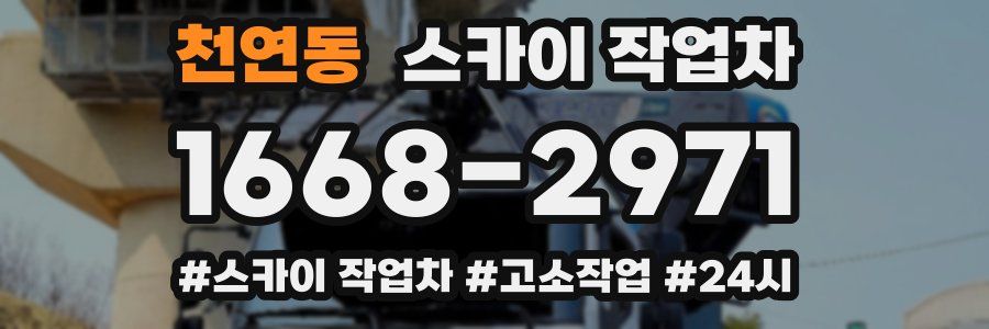 천연동 스카이 작업차