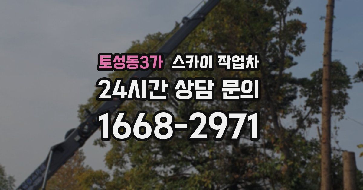 토성동3가 스카이 작업차