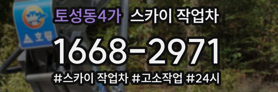 토성동4가 스카이 작업차