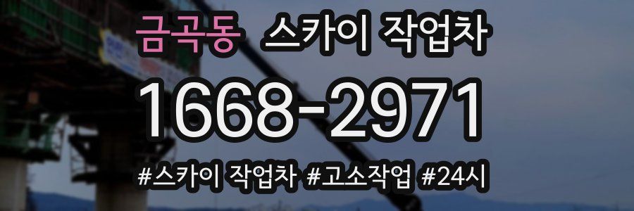 금곡동 스카이 작업차