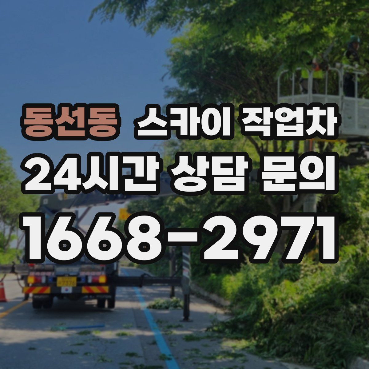 동선동 스카이 작업차