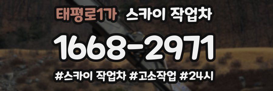 태평로1가 스카이 작업차