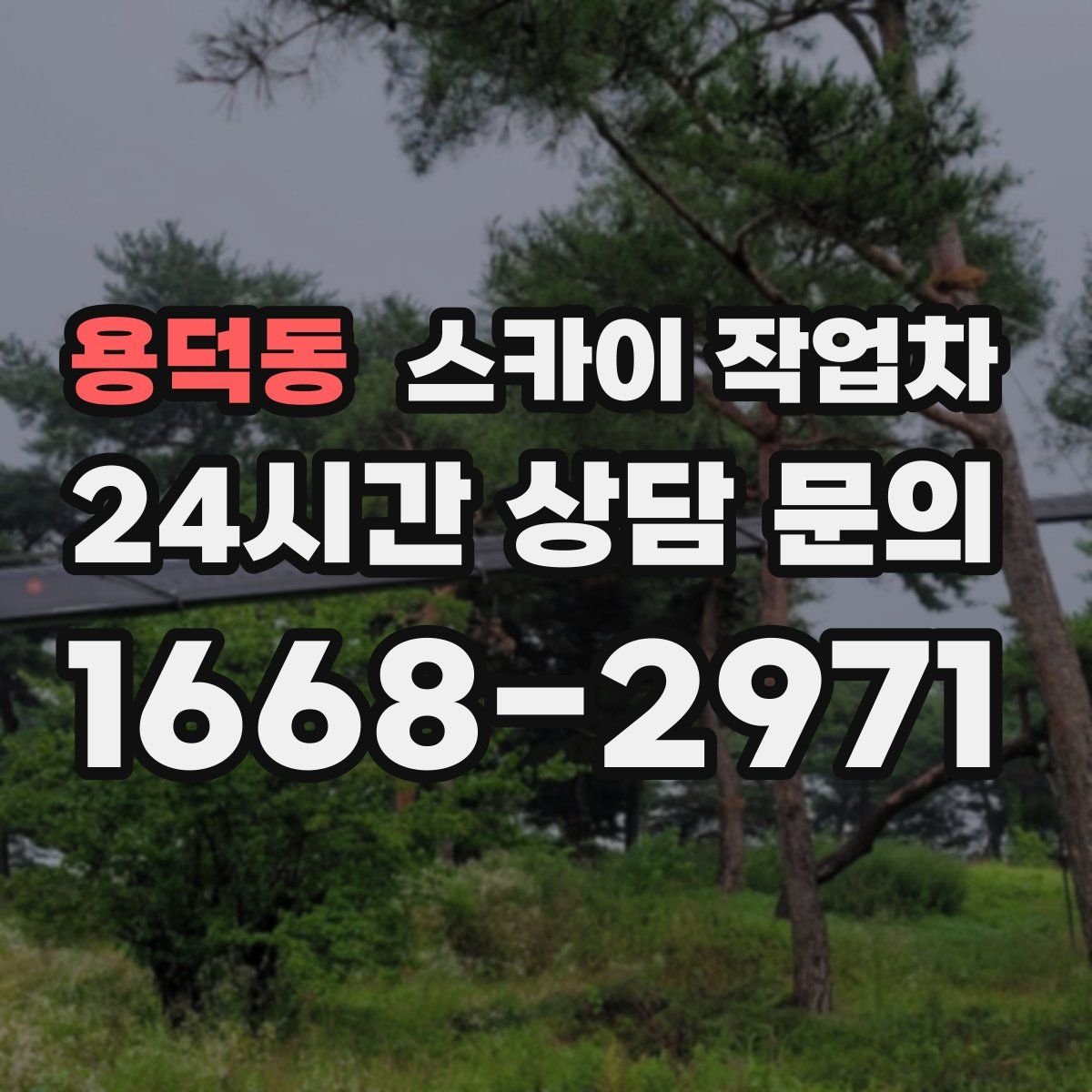 용덕동 스카이 작업차