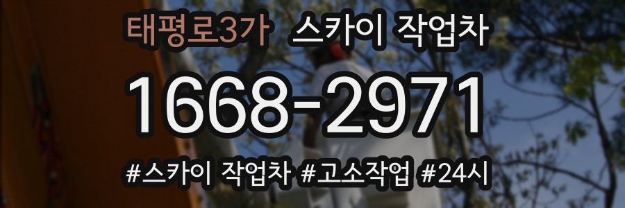 태평로3가 스카이 작업차