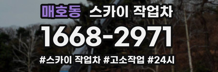 매호동 스카이 작업차