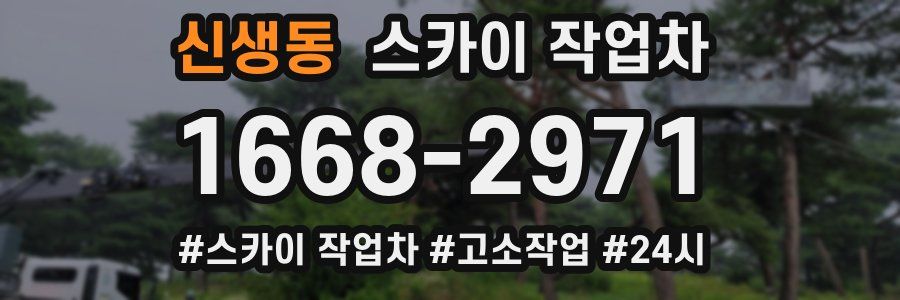 신생동 스카이 작업차