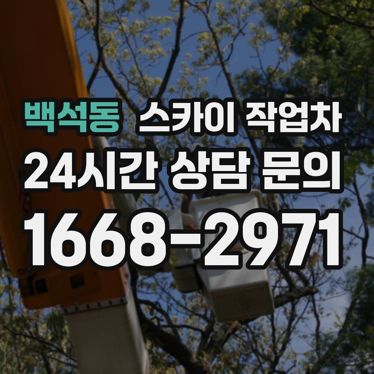 백석동 스카이 작업차