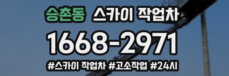 승촌동 스카이 작업차