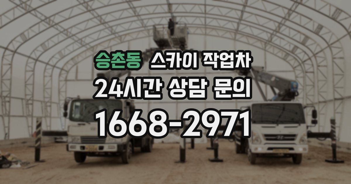 승촌동 스카이 작업차