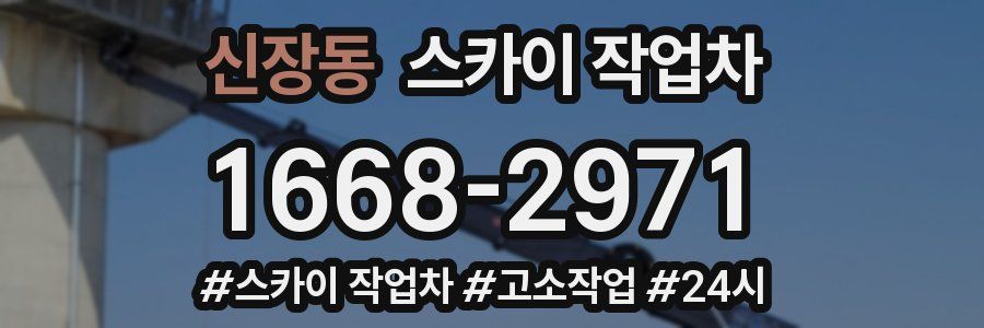 신장동 스카이 작업차