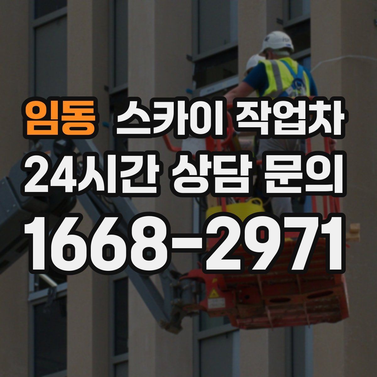 임동 스카이 작업차 가로수 가지치기 작업 안전하게