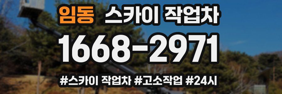 임동 스카이 작업차