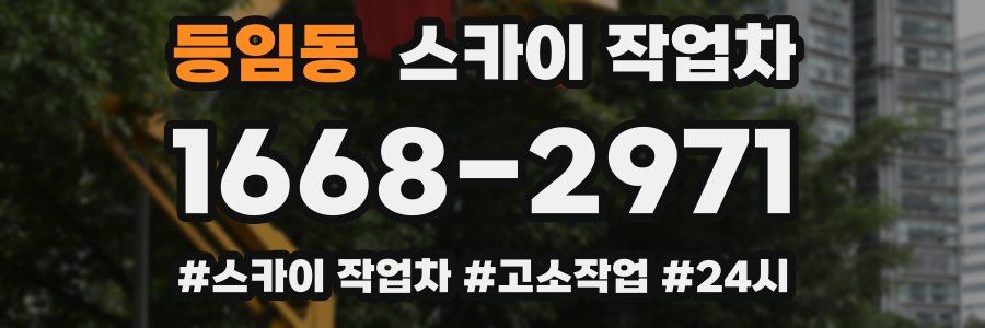 등임동 스카이 작업차