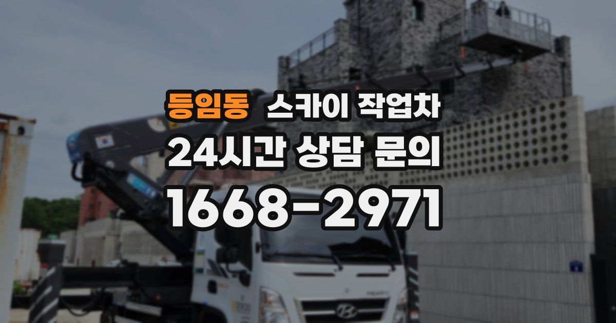 등임동 스카이 작업차