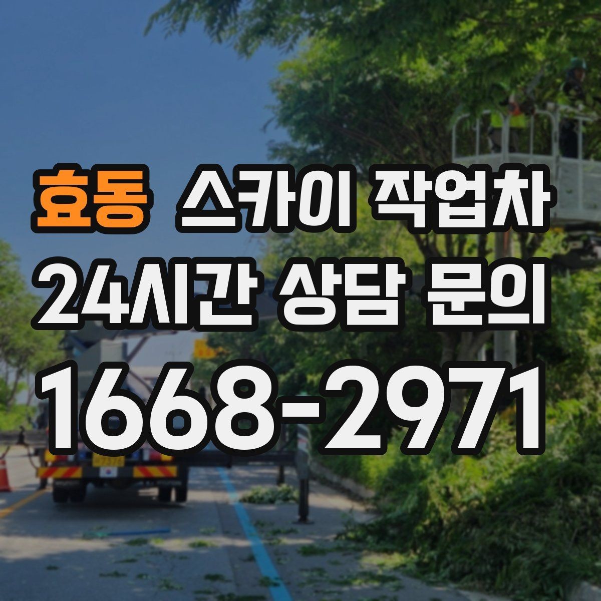 효동 스카이 작업차 현장 사진만으로도 작업 가능 여부 확인