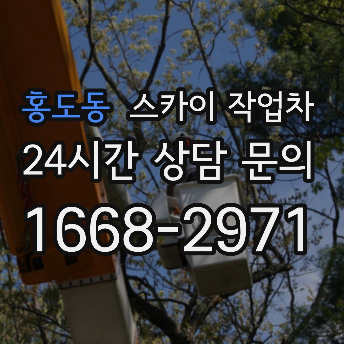 홍도동 스카이 작업차