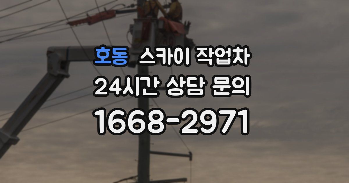 호동 스카이 작업차