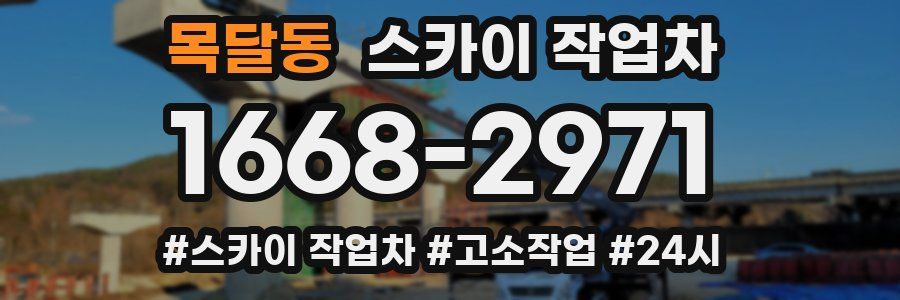 목달동 스카이 작업차