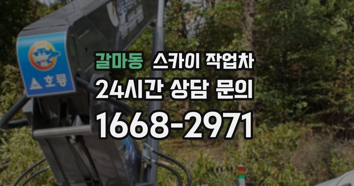 갈마동 스카이 작업차