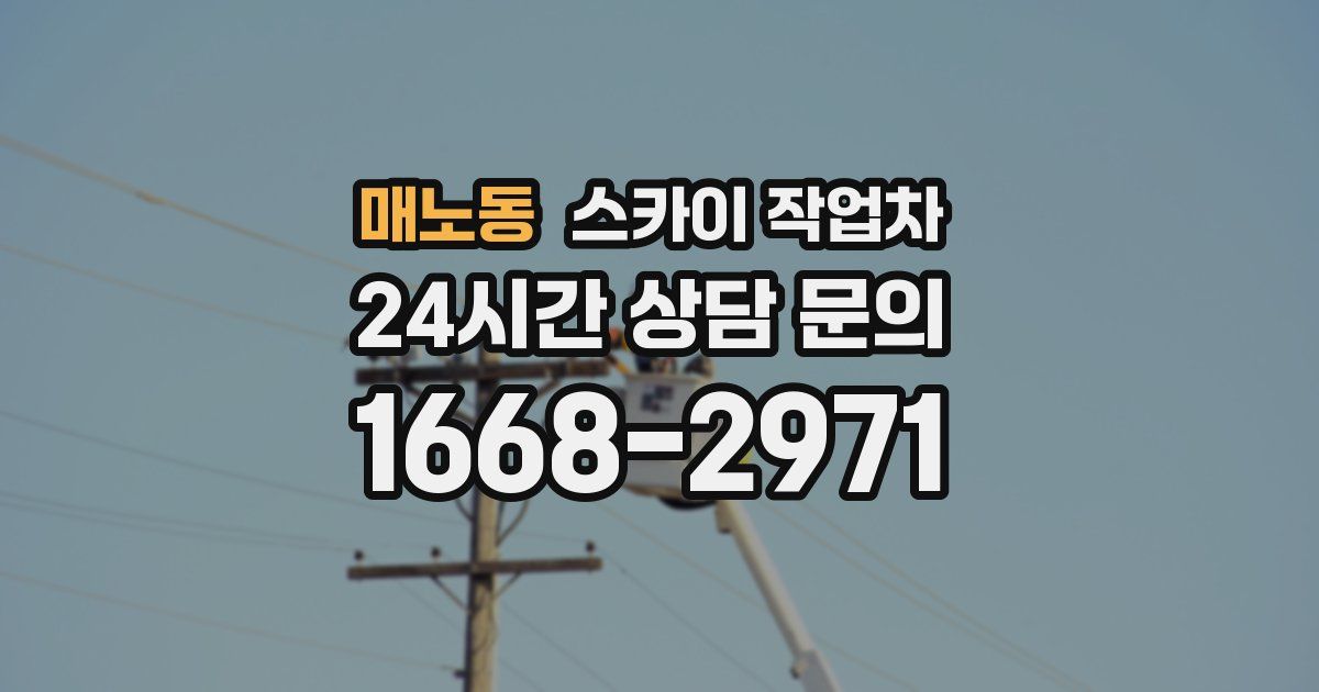 매노동 스카이 작업차