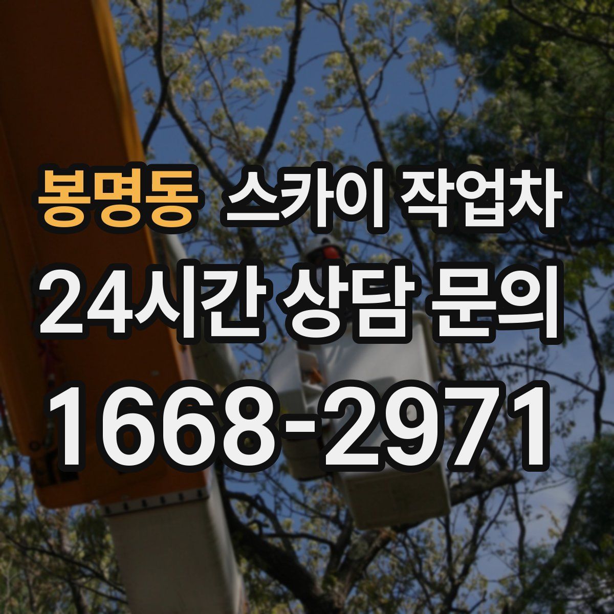 봉명동 스카이 작업차