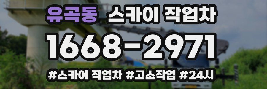 유곡동 스카이 작업차
