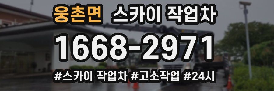 웅촌면 스카이 작업차