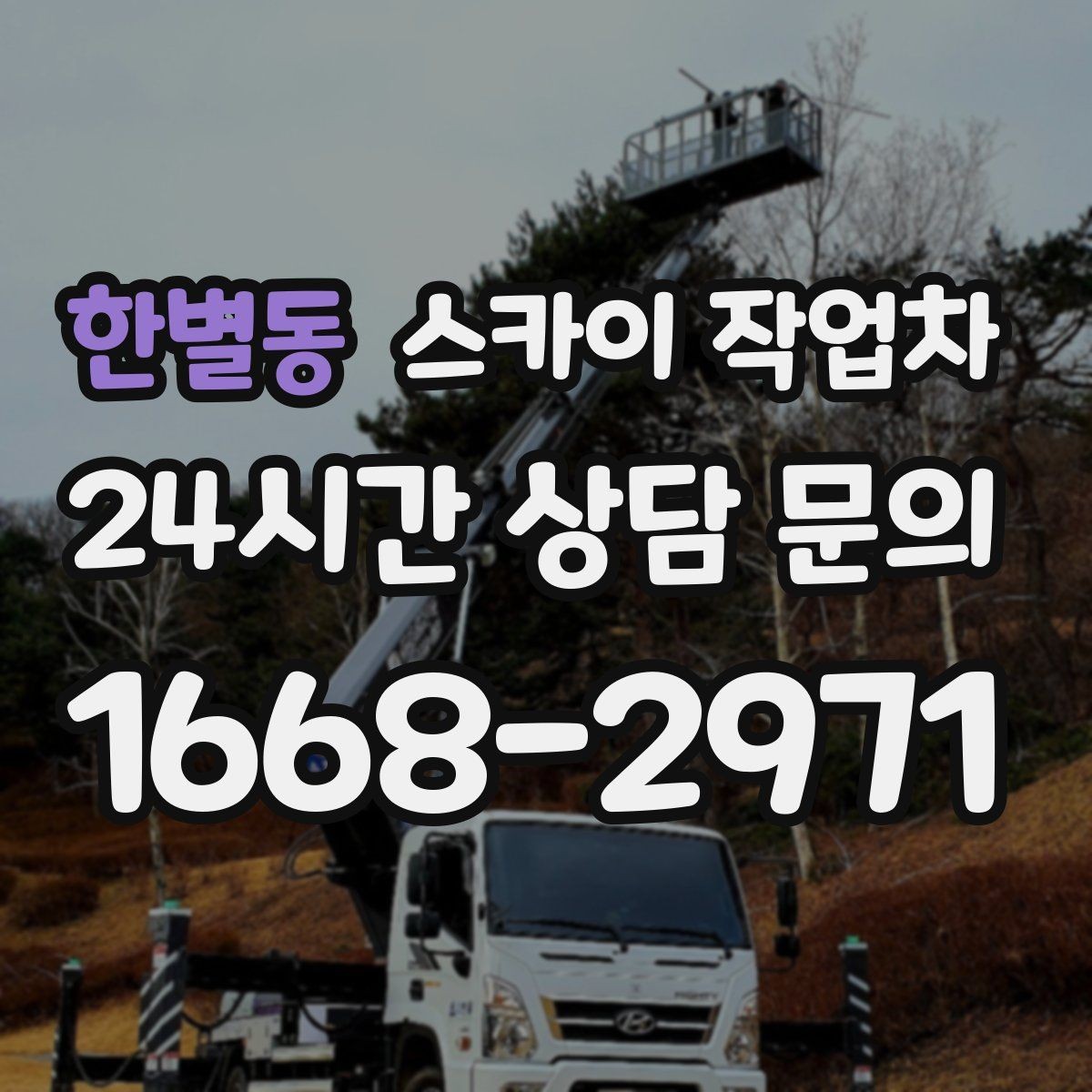 한별동 스카이 작업차 가로수 가지치기 작업 안전하게