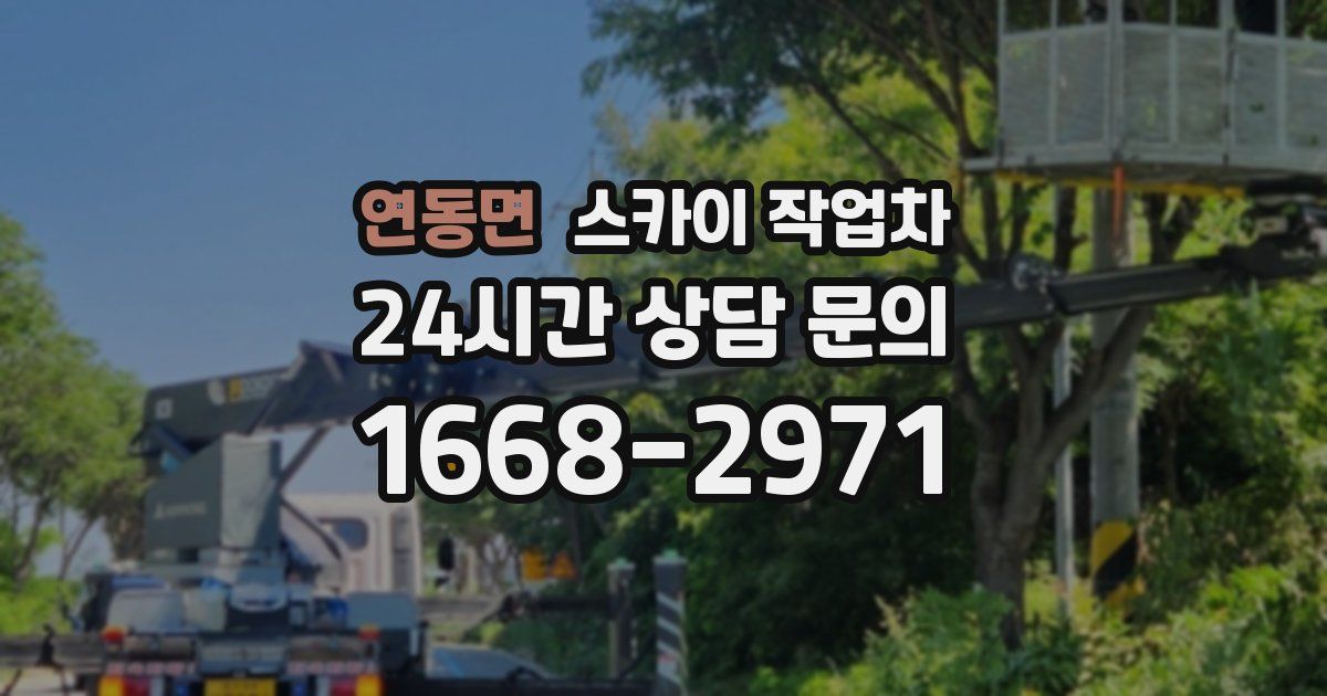 연동면 스카이 작업차