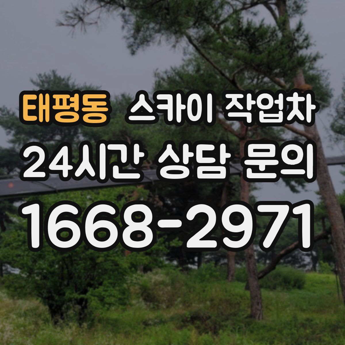 태평동 스카이 작업차