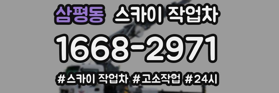 삼평동 스카이 작업차