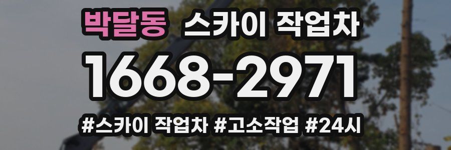 박달동 스카이 작업차