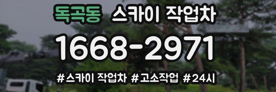 독곡동 스카이 작업차