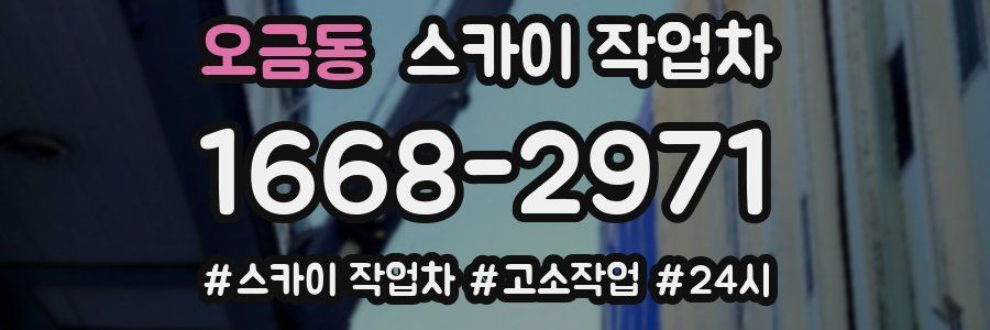 오금동 스카이 작업차