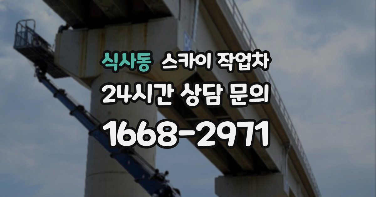 식사동 스카이 작업차