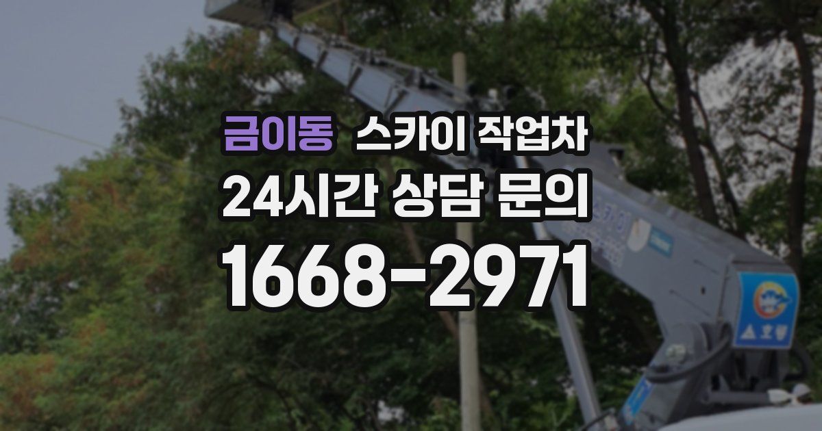 금이동 스카이 작업차